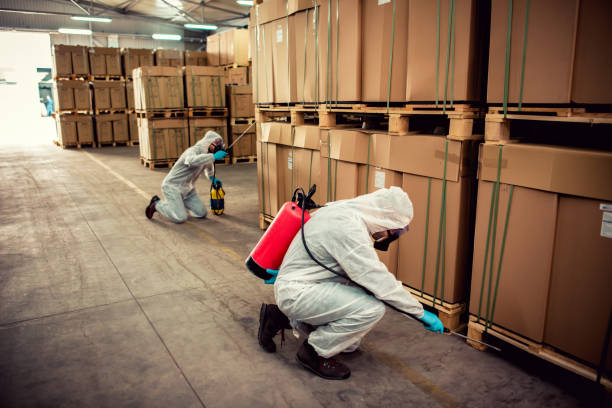 Best Pest Control Treatment  in Scandia, MN