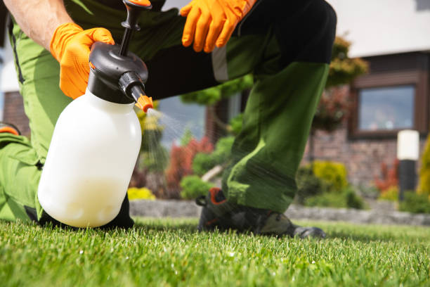 Best Local Pest Control Services  in Scandia, MN