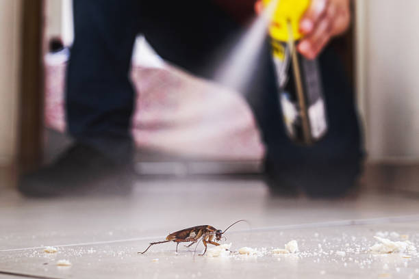 Pest Prevention Services in Scandia, MN