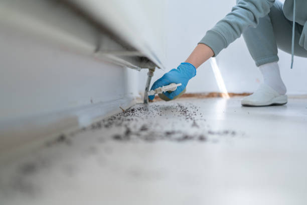 Best Commercial Pest Control Services  in Scandia, MN