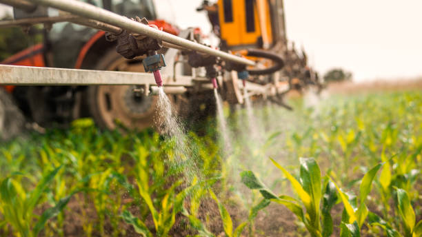 Pest Control Cost in Scandia, MN