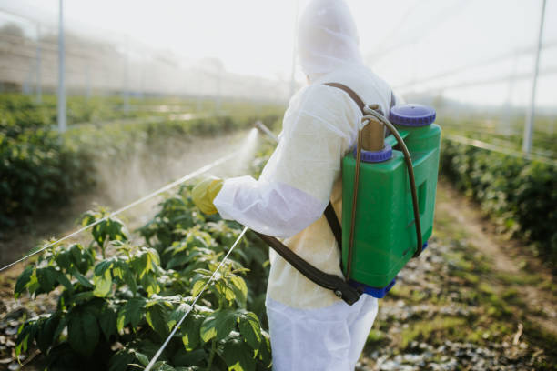 Best Affordable Pest Control Services  in Scandia, MN